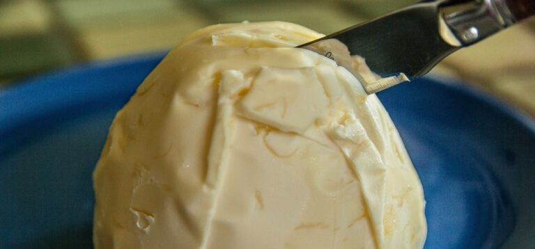 Tecnologia da Unicamp viabiliza primeira gordura de baixo teor de saturados da indústria brasileira